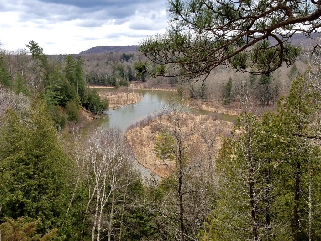 Manistee River Trail