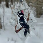 Hand-painted Downy Woodpecker suncatcher with vibrant colors, hanging in a window. Unique glass art for bird lovers and nature-inspired home decor.