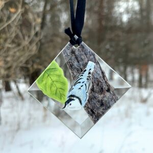 "Hand-painted Nuthatch suncatcher, vibrant glass art hanging in a window. Perfect for bird lovers and nature-inspired home decor."